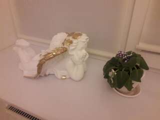 Апартаменты Apartments Koryatovichi street Каменец-Подольский Апартаменты-5