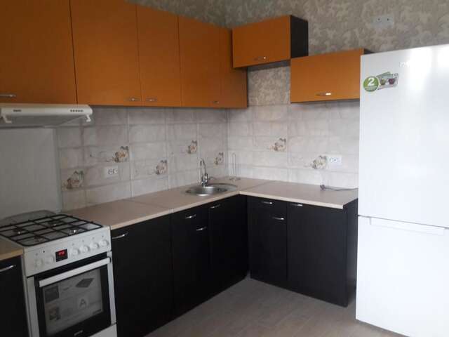 Апартаменты Apartments Koryatovichi street Каменец-Подольский-34