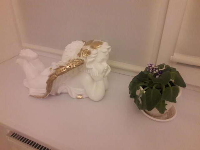 Апартаменты Apartments Koryatovichi street Каменец-Подольский-40